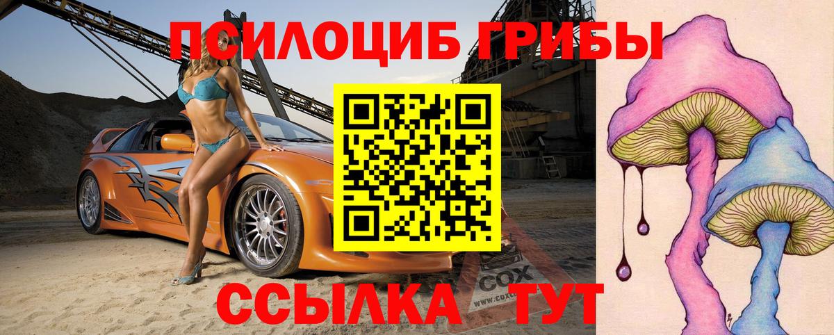 Кольчугино  Псилоцибиновые грибы Cubensis  Вход с VPN 